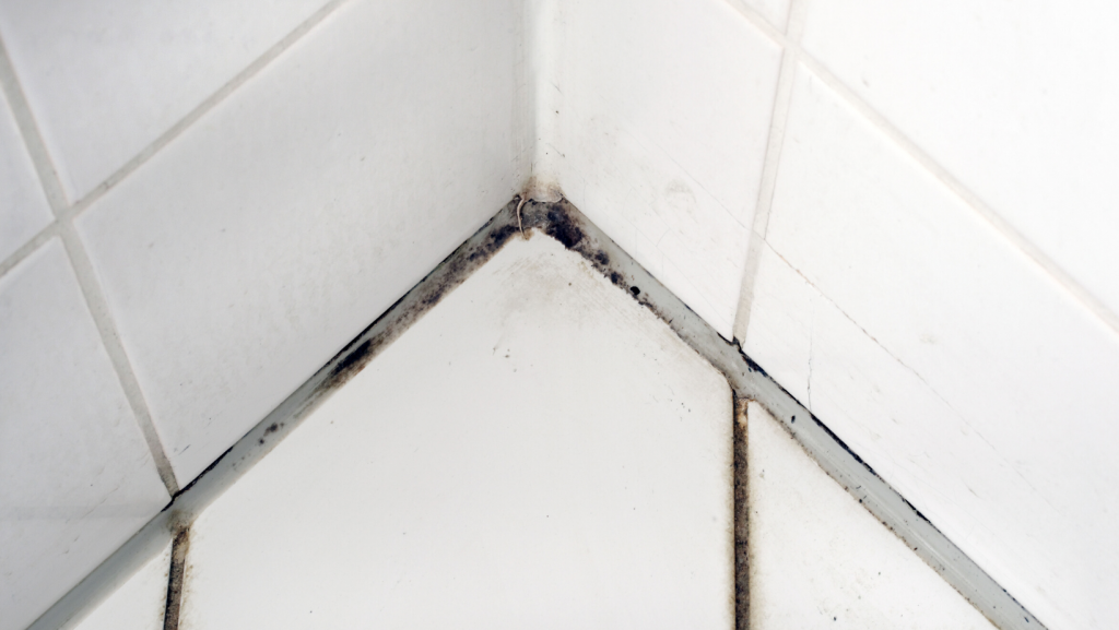 Kylpyhuoneen silikonisauma, jossa on likaa